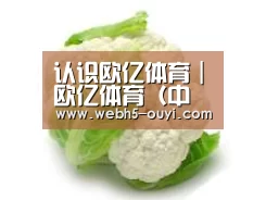 产品名称九