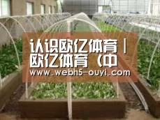 环境展示五