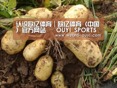 种植基地六