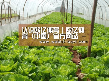种植基地五