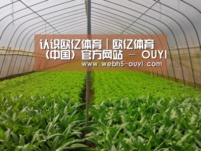 种植基地四