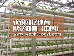 环境展示六