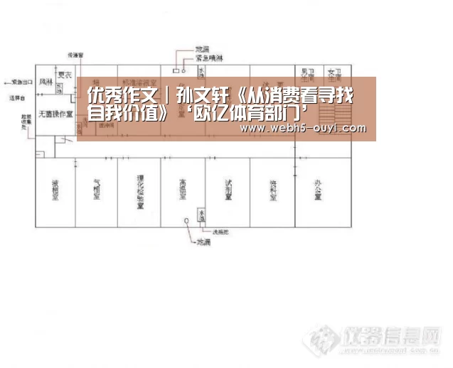 优秀作文|孙文轩《从消费看寻找自我价值》‘欧亿体育部门’(图3) 欧亿体育