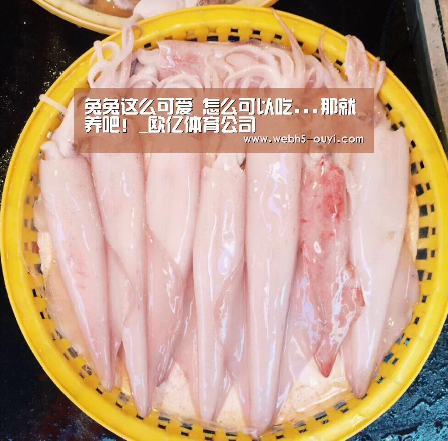 兔兔这么可爱 怎么可以吃...那就养吧!_欧亿体育公司(图2) 欧亿体育公司