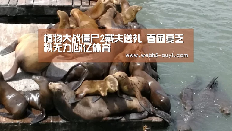 欧亿体育