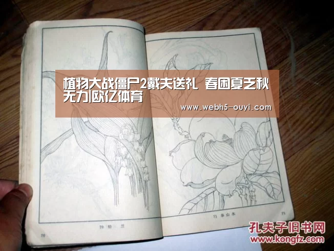 欧亿体育部门