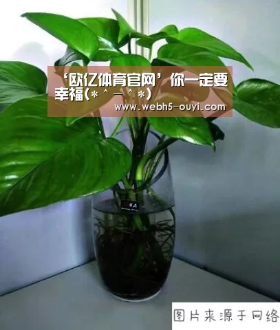 ‘欧亿体育官网’你一定要幸福(*^-^*)(图2) 欧亿体育官网